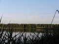 /bilder/sl2011/bild_105.jpg
